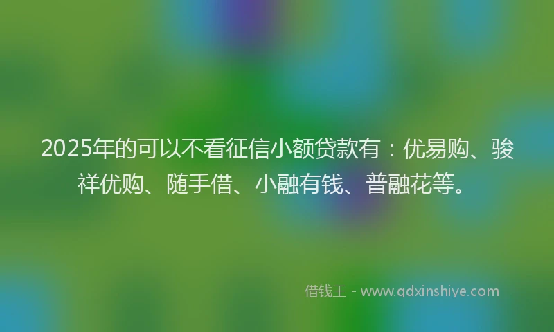2025年的可以不看征信小额贷款有：优易购、骏祥优购、随手借、小融有钱、普融花等。