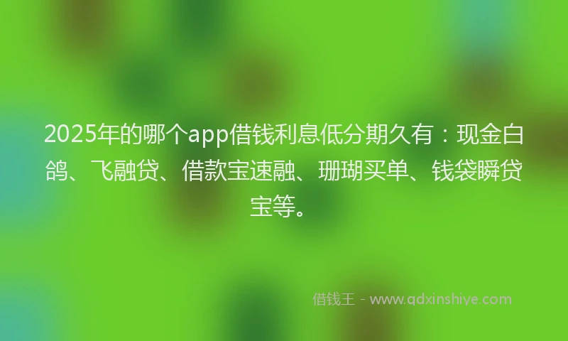 2025年的哪个app借钱利息低分期久有:现金白鸽、飞融贷、借款宝速融、珊瑚买单、钱袋瞬贷宝等。