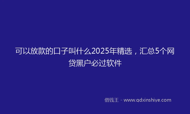 可以放款的口子叫什么2025年精选，汇总5个网贷黑户必过软件