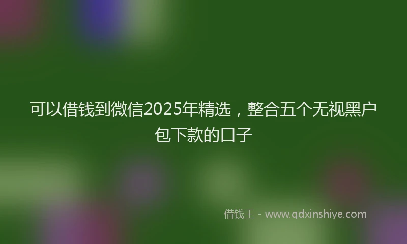 可以借钱到微信2025年精选，整合五个无视黑户包下款的口子