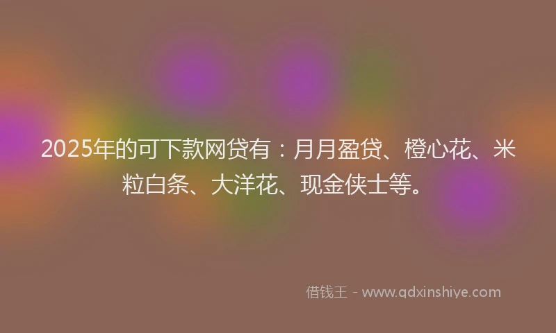 2025年的可下款网贷有：月月盈贷、橙心花、米粒白条、大洋花、现金侠士等。