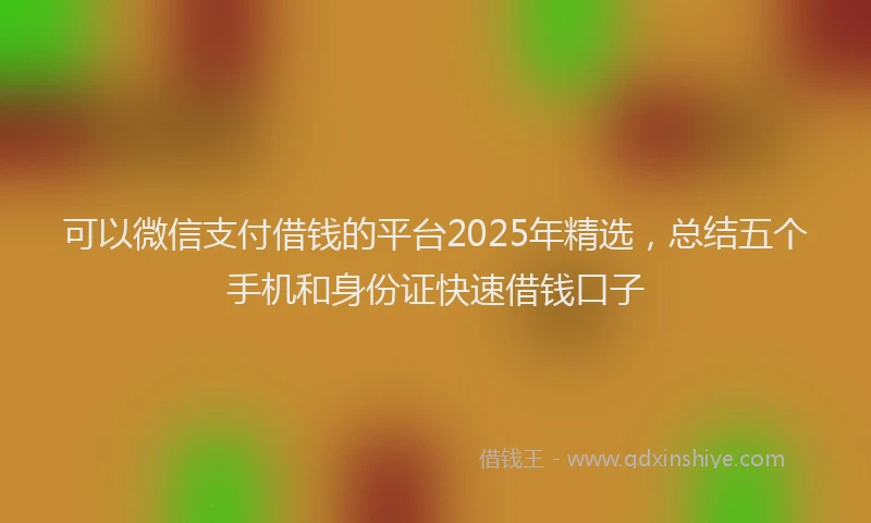 可以微信支付借钱的平台2025年精选，总结五个手机和身份证快速借钱口子
