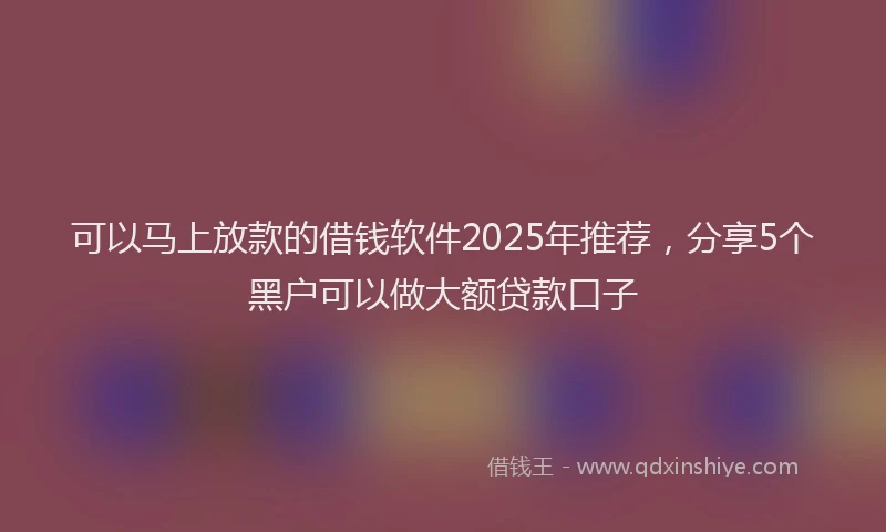 可以马上放款的借钱软件2025年推荐，分享5个黑户可以做大额贷款口子