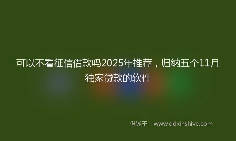 可以不看征信借款吗2025年推荐，归纳五个11月独家贷款的软件