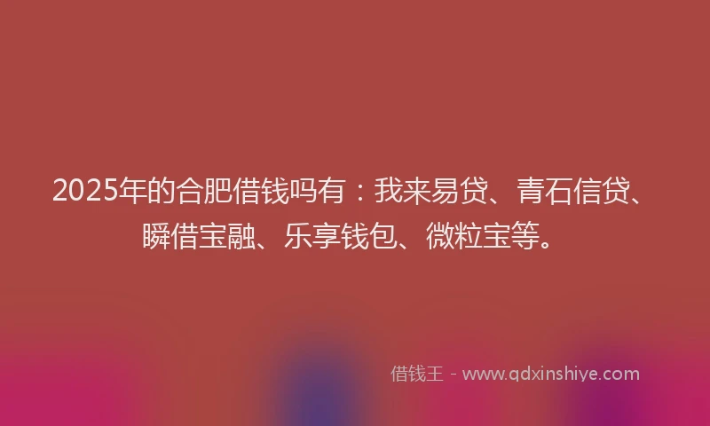 2025年的合肥借钱吗有：我来易贷、青石信贷、瞬借宝融、乐享钱包、微粒宝等。
