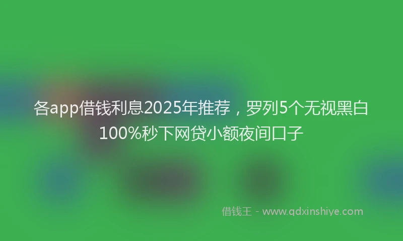 各app借钱利息2025年推荐，罗列5个无视黑白100%秒下网贷小额夜间口子