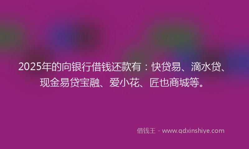 2025年的向银行借钱还款有：快贷易、滴水贷、现金易贷宝融、爱小花、匠也商城等。