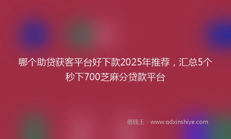 哪个助贷获客平台好下款2025年推荐，汇总5个秒下700芝麻分贷款平台