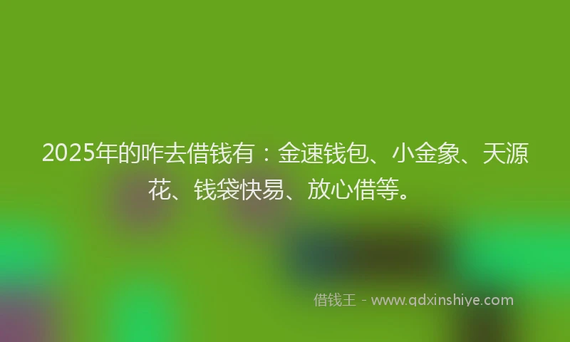 2025年的咋去借钱有：金速钱包、小金象、天源花、钱袋快易、放心借等。