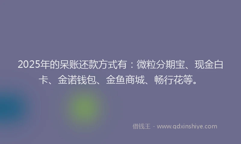 2025年的呆账还款方式有：微粒分期宝、现金白卡、金诺钱包、金鱼商城、畅行花等。
