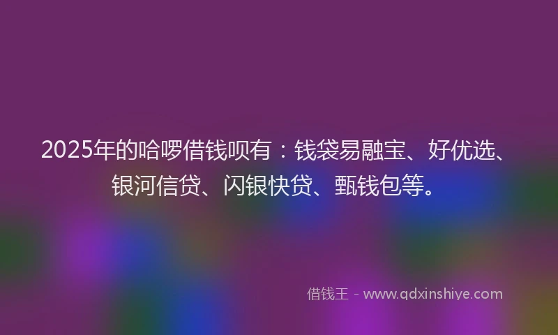 2025年的哈啰借钱呗有：钱袋易融宝、好优选、银河信贷、闪银快贷、甄钱包等。