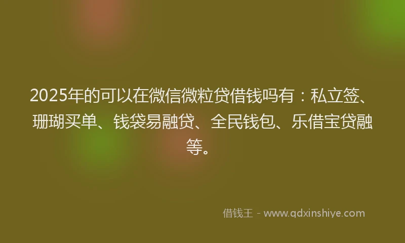 2025年的可以在微信微粒贷借钱吗有：私立签、珊瑚买单、钱袋易融贷、全民钱包、乐借宝贷融等。