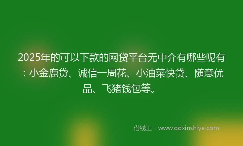 2025年的可以下款的网贷平台无中介有哪些呢有：小金鹿贷、诚信一周花、小油菜快贷、随意优品、飞猪钱包等。