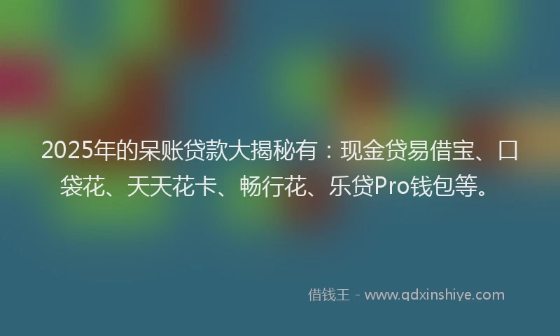 2025年的呆账贷款大揭秘有:现金贷易借宝、口袋花、天天花卡、畅行花、乐贷Pro钱包等。