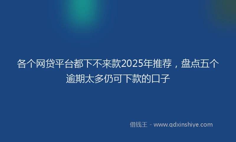 各个网贷平台都下不来款2025年推荐，盘点五个逾期太多仍可下款的口子