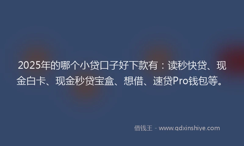 2025年的哪个小贷口子好下款有：读秒快贷、现金白卡、现金秒贷宝盒、想借、速贷Pro钱包等。