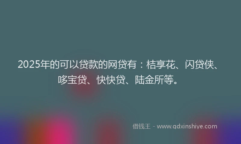 2025年的可以贷款的网贷有：桔享花、闪贷侠、哆宝贷、快快贷、陆金所等。