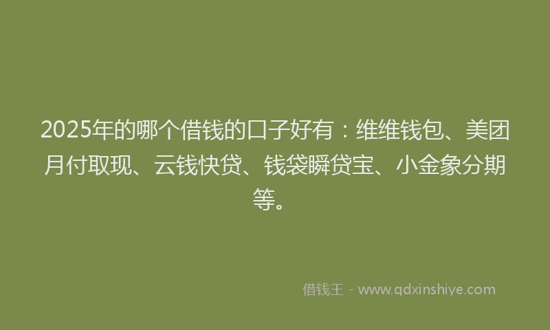 2025年的哪个借钱的口子好有：维维钱包、美团月付取现、云钱快贷、钱袋瞬贷宝、小金象分期等。