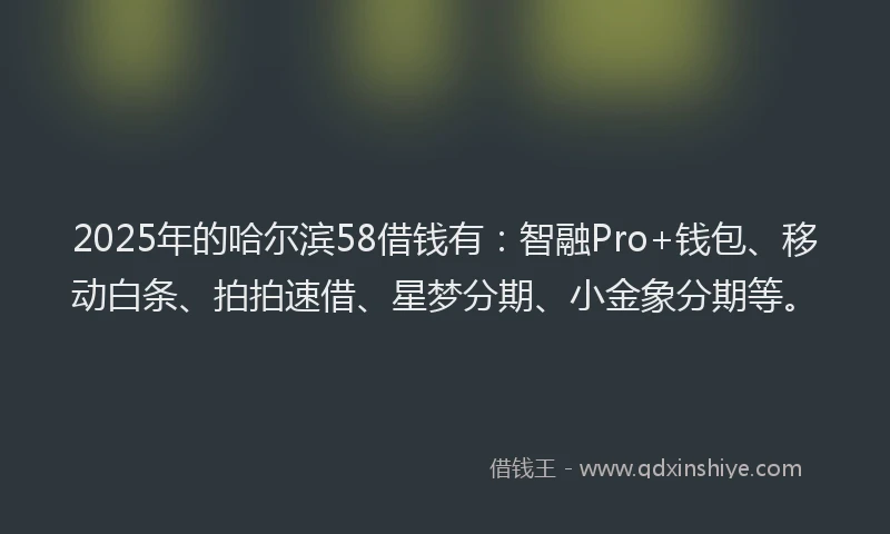 2025年的哈尔滨58借钱有：智融Pro+钱包、移动白条、拍拍速借、星梦分期、小金象分期等。