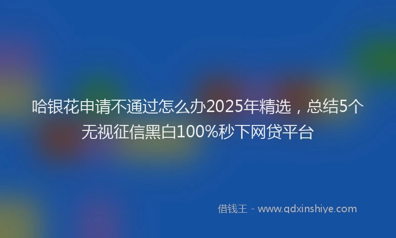 哈银花申请不通过怎么办2025年精选，总结5个无视征信黑白100%秒下网贷平台