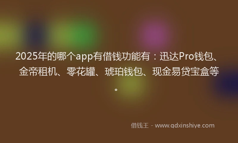 2025年的哪个app有借钱功能有：迅达Pro钱包、金帝租机、零花罐、琥珀钱包、现金易贷宝盒等。