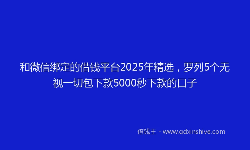 和微信绑定的借钱平台2025年精选，罗列5个无视一切包下款5000秒下款的口子