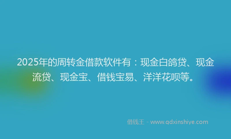 2025年的周转金借款软件有：现金白鸽贷、现金流贷、现金宝、借钱宝易、洋洋花呗等。