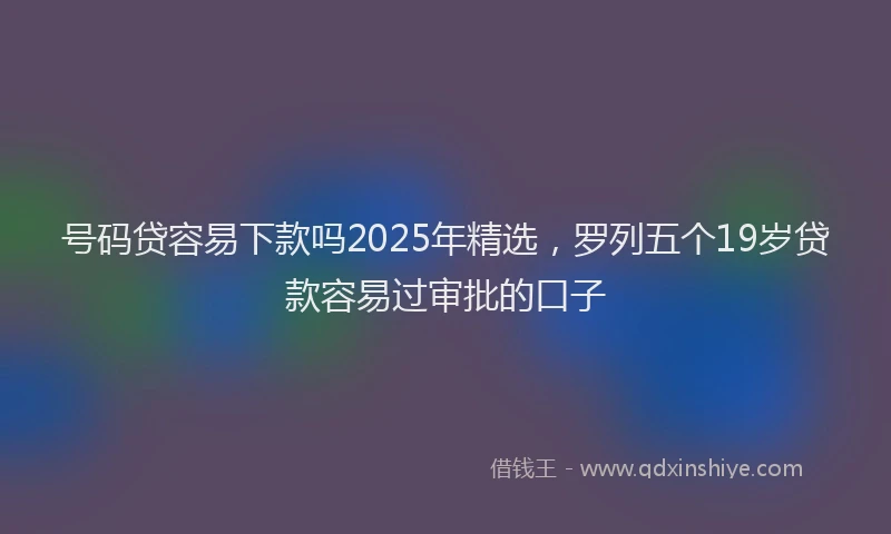 号码贷容易下款吗2025年精选，罗列五个19岁贷款容易过审批的口子