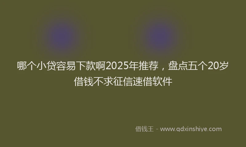 哪个小贷容易下款啊2025年推荐，盘点五个20岁借钱不求征信速借软件