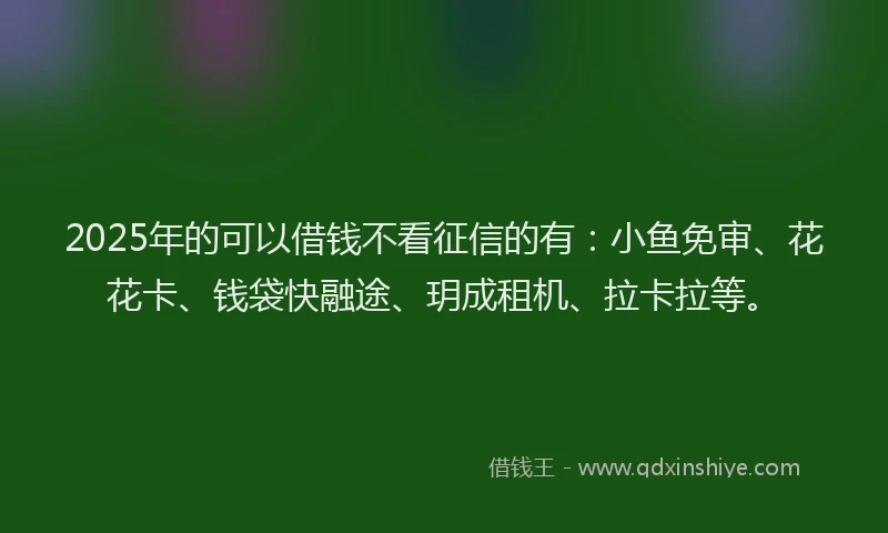 2025年的可以借钱不看征信的有：小鱼免审、花花卡、钱袋快融途、玥成租机、拉卡拉等。