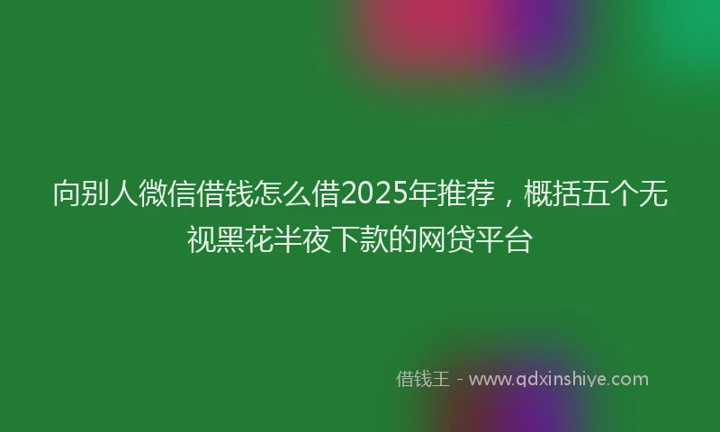 向别人微信借钱怎么借2025年推荐，概括五个无视黑花半夜下款的网贷平台