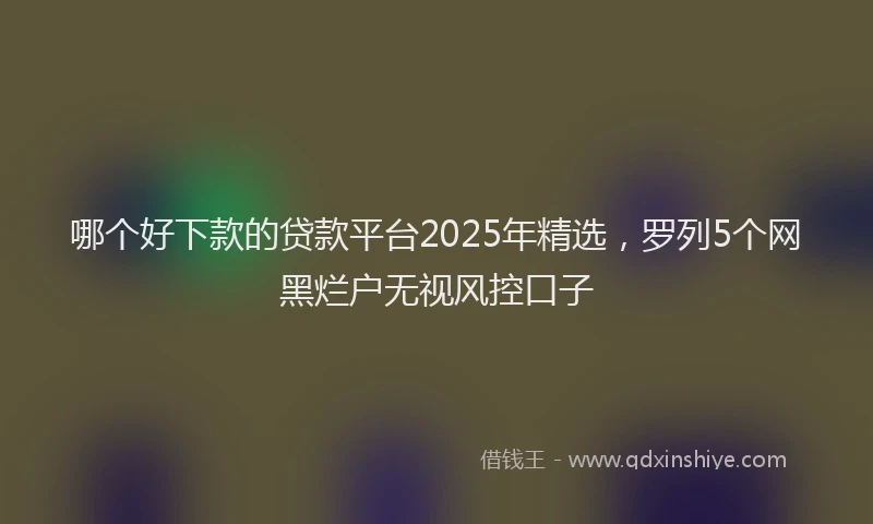 哪个好下款的贷款平台2025年精选，罗列5个网黑烂户无视风控口子