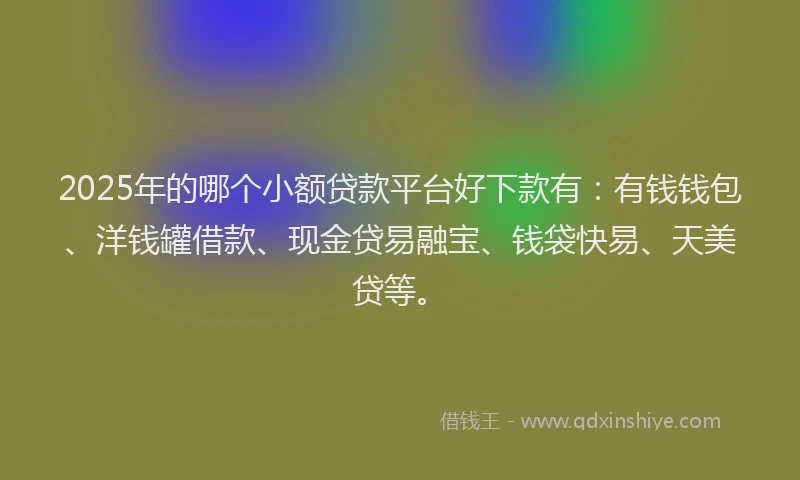 2025年的哪个小额贷款平台好下款有：有钱钱包、洋钱罐借款、现金贷易融宝、钱袋快易、天美贷等。