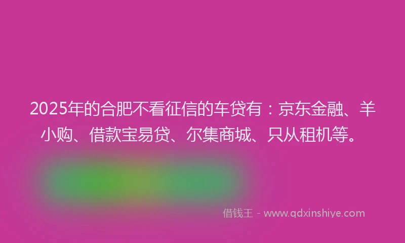 2025年的合肥不看征信的车贷有：京东金融、羊小购、借款宝易贷、尔集商城、只从租机等。
