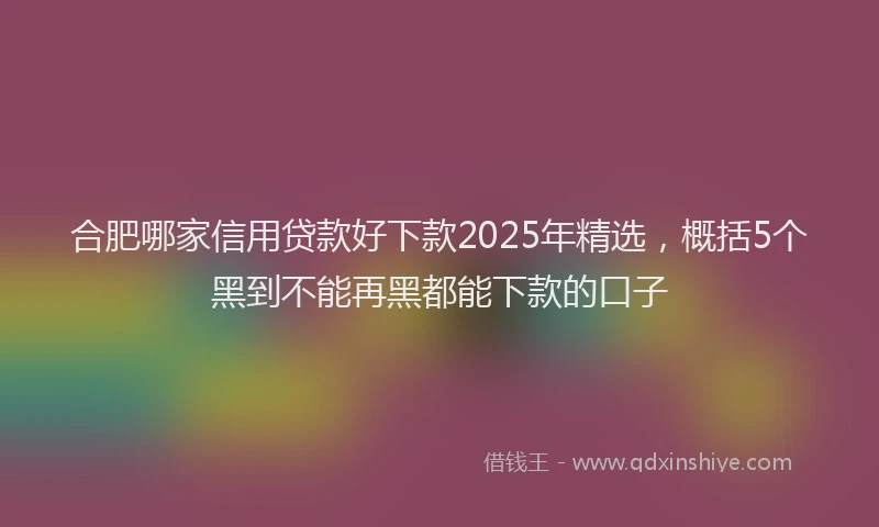 合肥哪家信用贷款好下款2025年精选，概括5个黑到不能再黑都能下款的口子