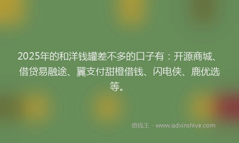 2025年的和洋钱罐差不多的口子有:开源商城、借贷易融途、翼支付甜橙借钱、闪电侠、鹿优选等。