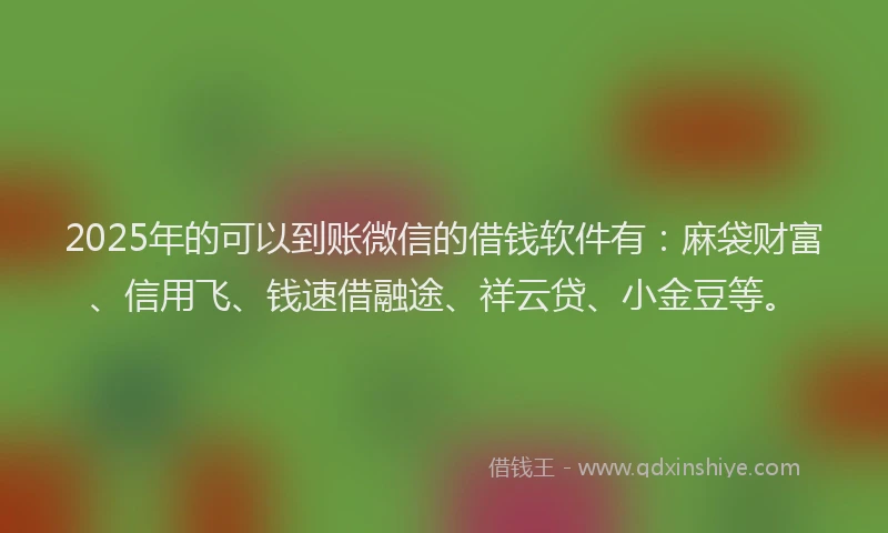 2025年的可以到账微信的借钱软件有：麻袋财富、信用飞、钱速借融途、祥云贷、小金豆等。
