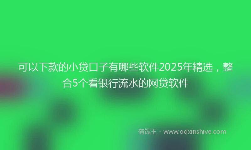 可以下款的小贷口子有哪些软件2025年精选，整合5个看银行流水的网贷软件