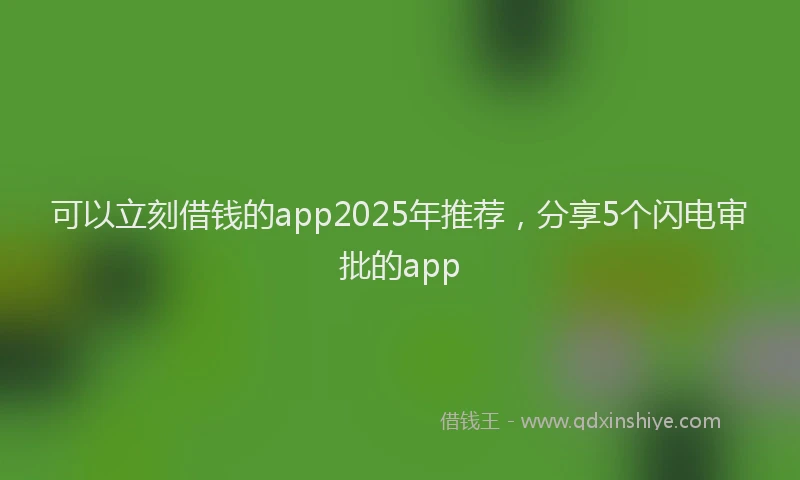 可以立刻借钱的app2025年推荐，分享5个闪电审批的app