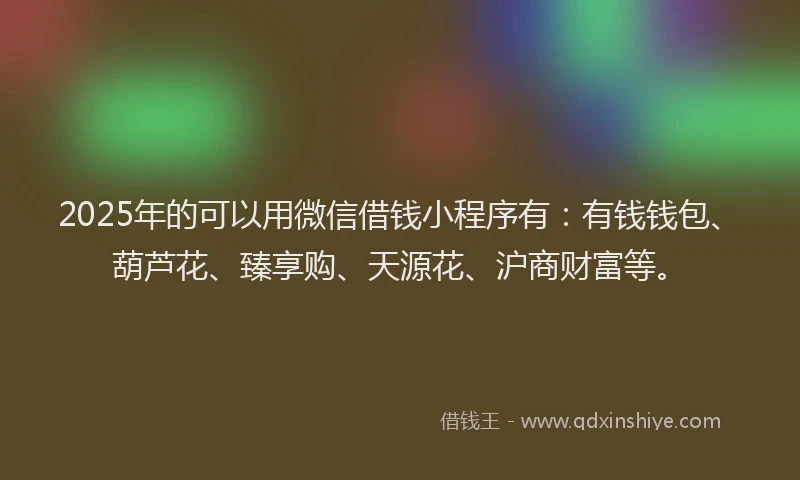 2025年的可以用微信借钱小程序有：有钱钱包、葫芦花、臻享购、天源花、沪商财富等。