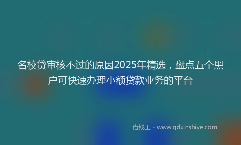 名校贷审核不过的原因2025年精选，盘点五个黑户可快速办理小额贷款业务的平台