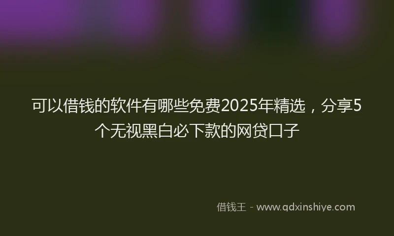 可以借钱的软件有哪些免费2025年精选，分享5个无视黑白必下款的网贷口子