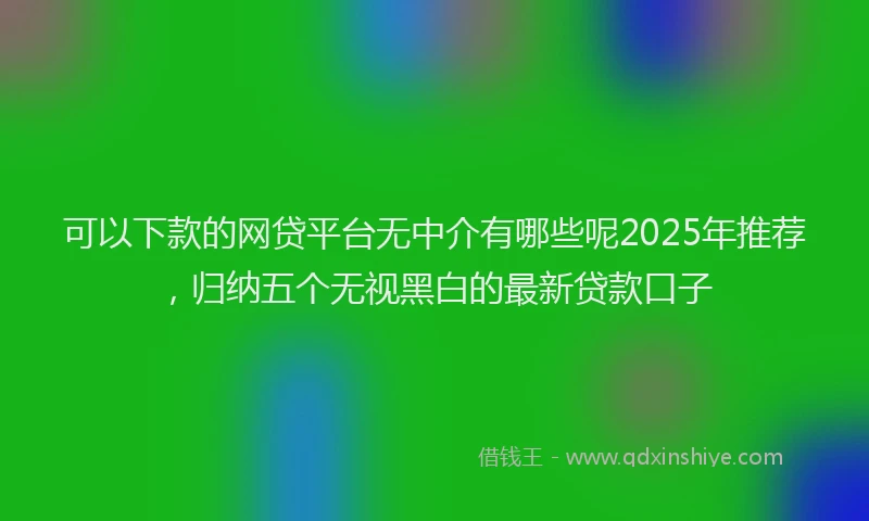 可以下款的网贷平台无中介有哪些呢2025年推荐，归纳五个无视黑白的最新贷款口子