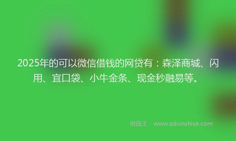 2025年的可以微信借钱的网贷有：森泽商城、闪用、宜口袋、小牛金条、现金秒融易等。