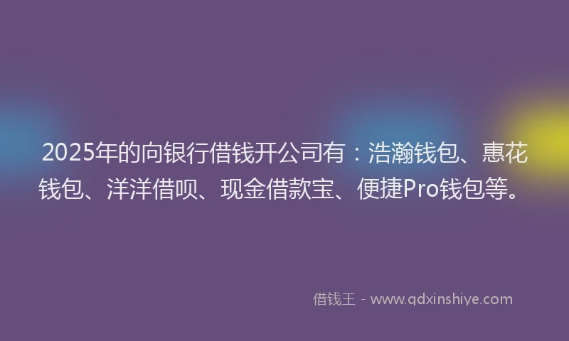 2025年的向银行借钱开公司有：浩瀚钱包、惠花钱包、洋洋借呗、现金借款宝、便捷Pro钱包等。