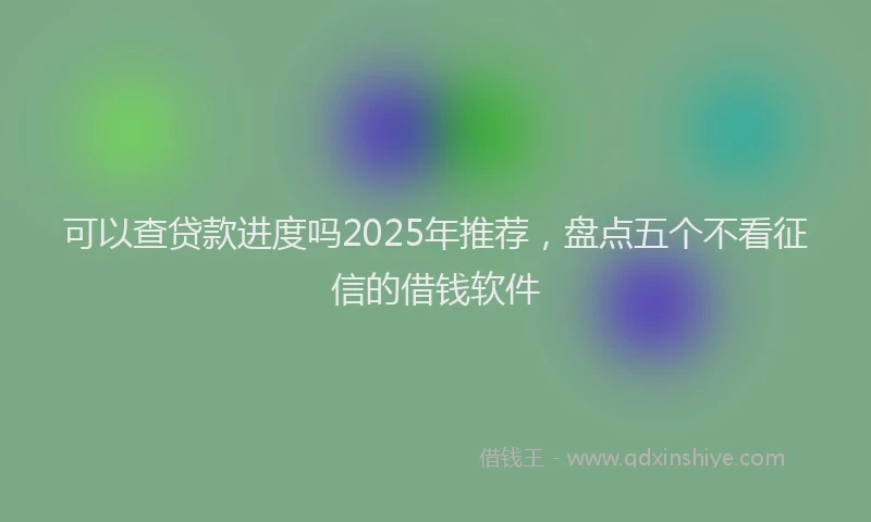 可以查贷款进度吗2025年推荐，盘点五个不看征信的借钱软件