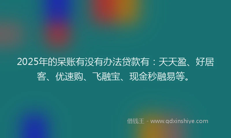 2025年的呆账有没有办法贷款有：天天盈、好居客、优速购、飞融宝、现金秒融易等。
