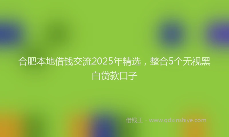 合肥本地借钱交流2025年精选，整合5个无视黑白贷款口子