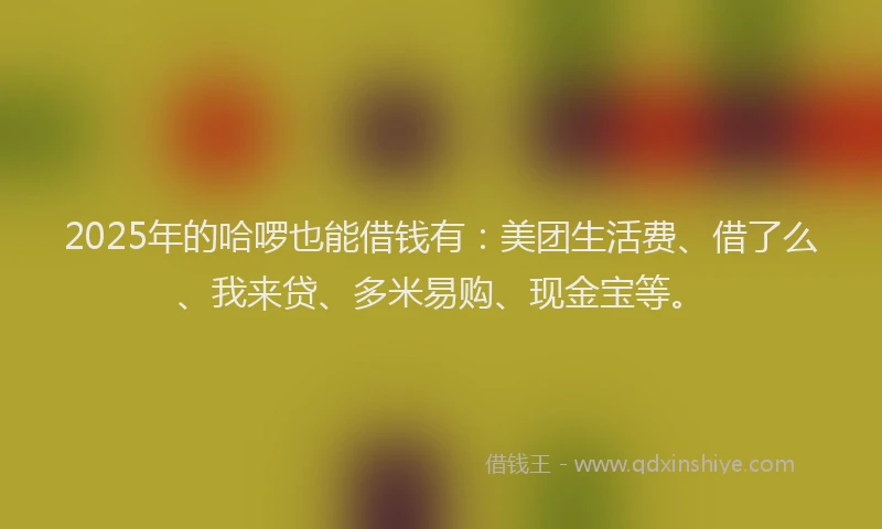 2025年的哈啰也能借钱有：美团生活费、借了么、我来贷、多米易购、现金宝等。