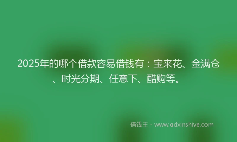 2025年的哪个借款容易借钱有：宝来花、金满仓、时光分期、任意下、酷购等。